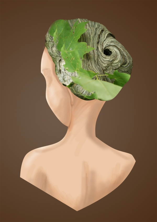 Creation of Forest Fashion: Step 2